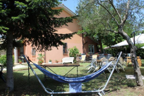Casa del Gelso
